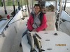 (11/05/2016) - Nice Striped Bass